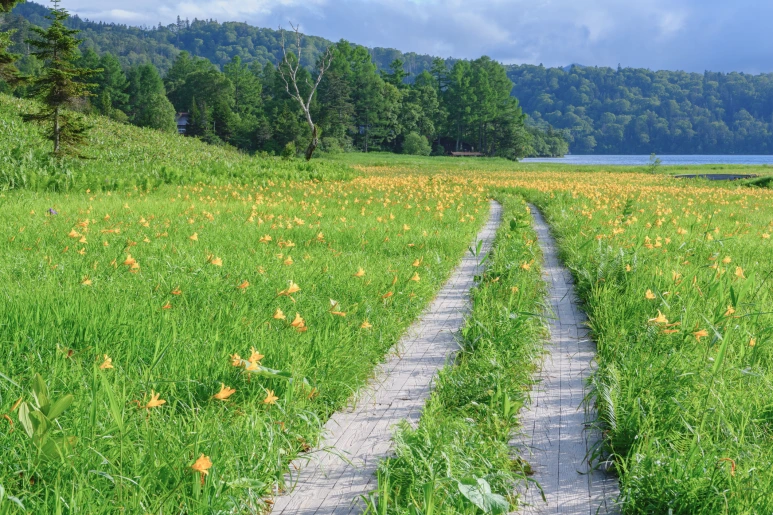 iStock-1297411431.png?type=w773