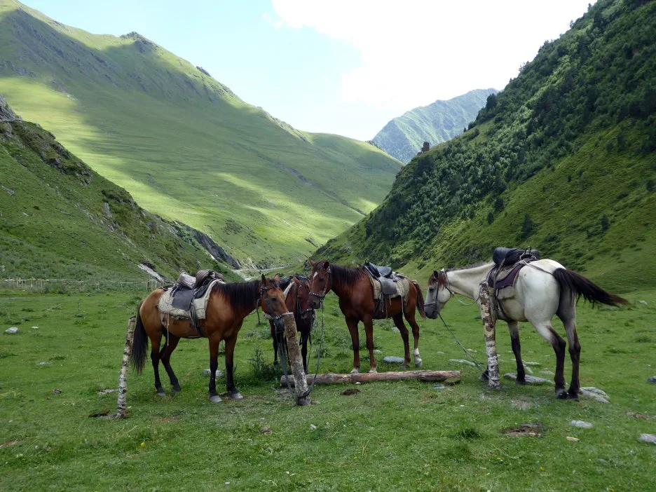 18379487_1845024889097454_948351006_o_(1).jpg?type=w1