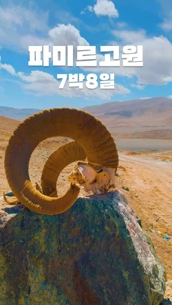 ?src=%22https%3A%2F%2Ftripsoda.s3.ap-northeast-2.amazonaws.com%2Fprod%2Fproduct%2F1739178254099-51%22&type=ff250_444