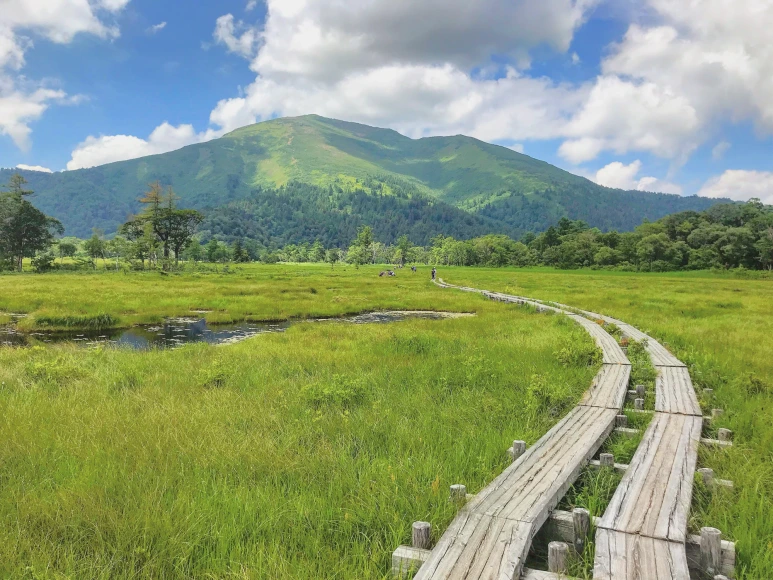 iStock-1169534743.png?type=w773