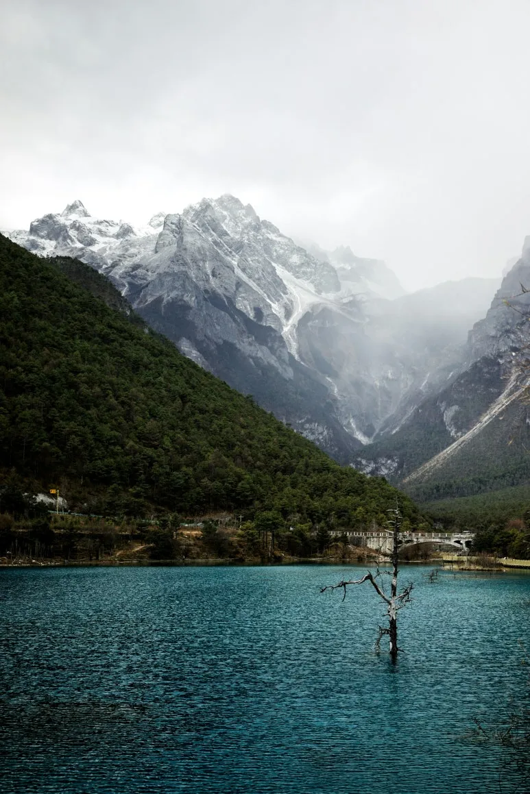 jocelyn-wong-lRggzdwAM0w-unsplash.jpg?type=w773