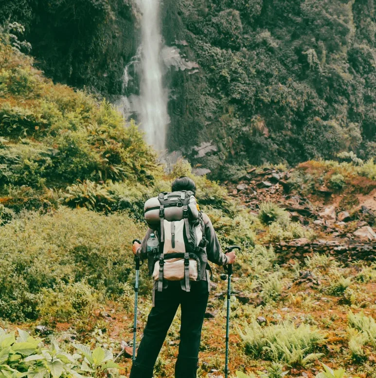 SE-8bb9c661-236e-4bfc-a3d3-06967b08010b.jpg?type=w773