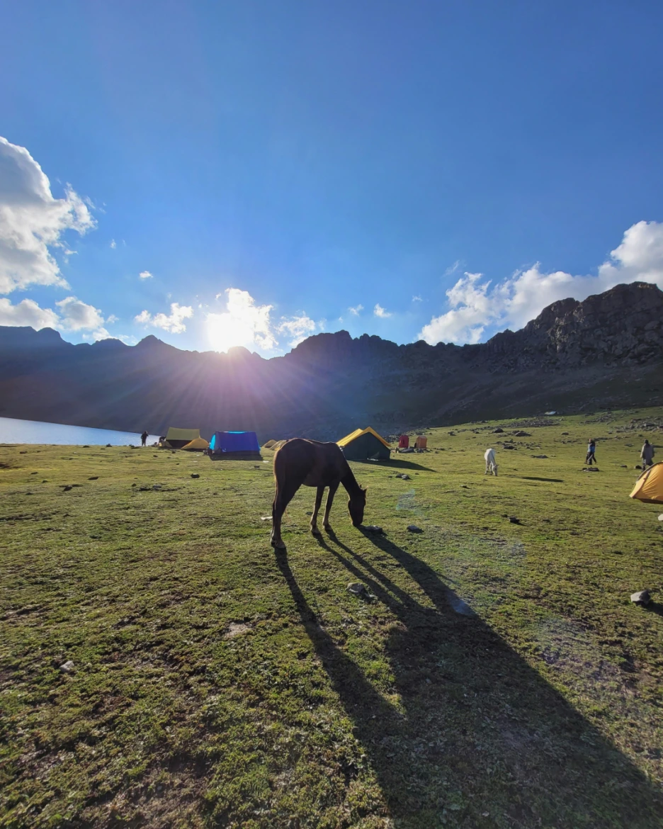 %EB%82%98%EC%9D%B4%EB%A7%9D%EC%8A%B9%EB%A7%88%ED%88%AC%EC%96%B43.png?type=w1