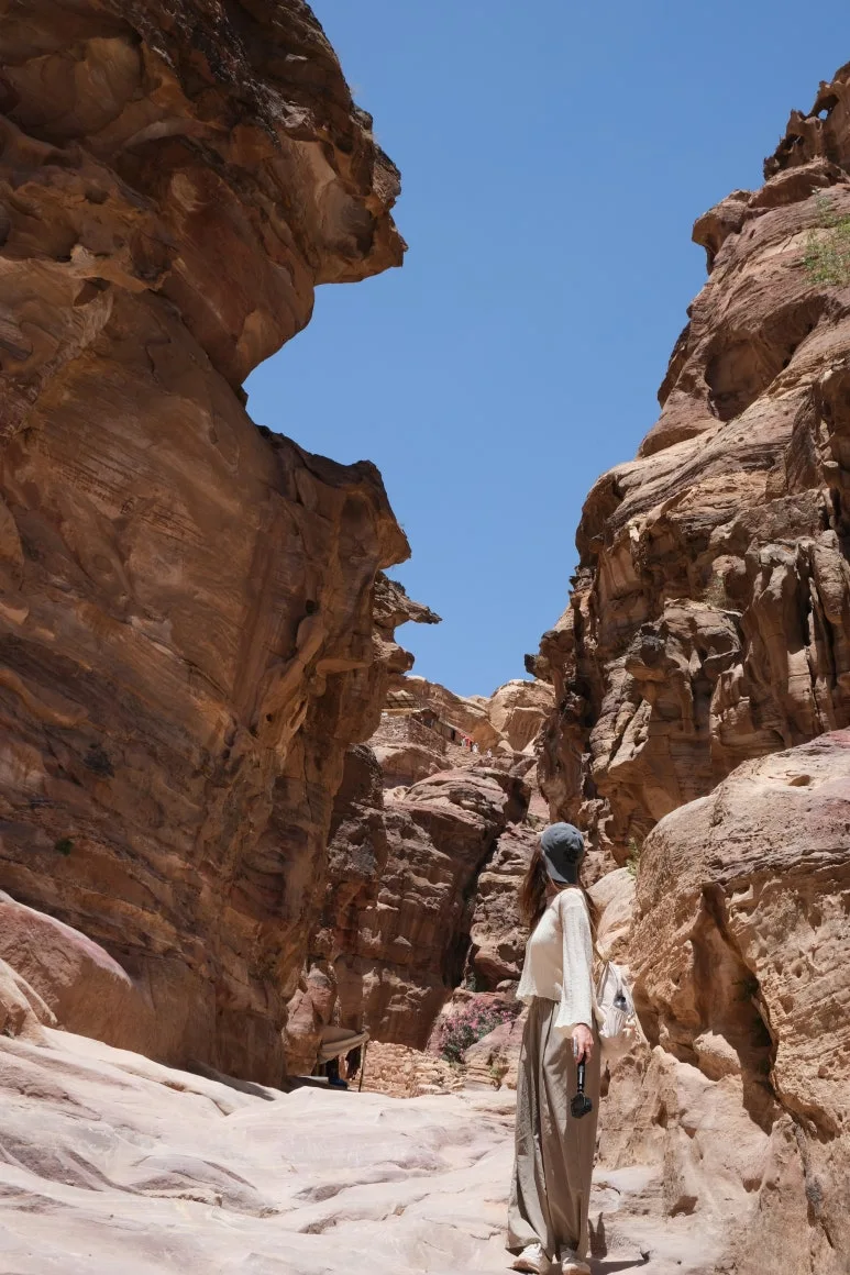 DSCF2551.JPG?type=w773