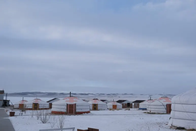 %EC%96%B4%EA%B8%B0%ED%98%B8%EC%88%98%EC%88%99%EC%86%8C2.JPG?type=w773