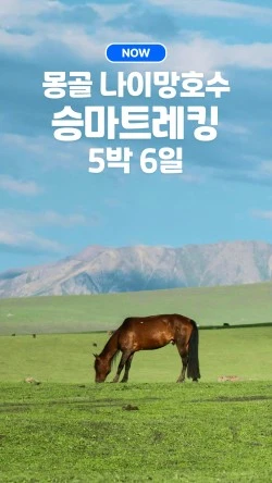 ?src=%22https%3A%2F%2Ftripsoda.s3.ap-northeast-2.amazonaws.com%2Fprod%2Fproduct-image%2F1750068117363-1120%22&type=ff250_444