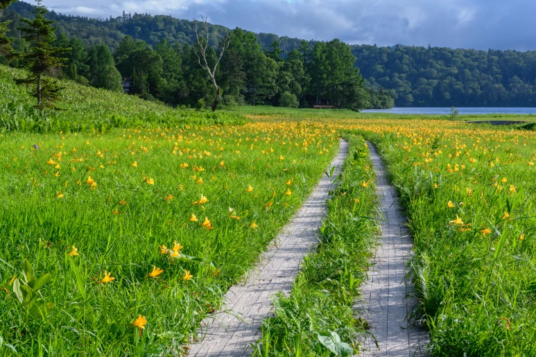 iStock-1297411431_1.png?type=w773