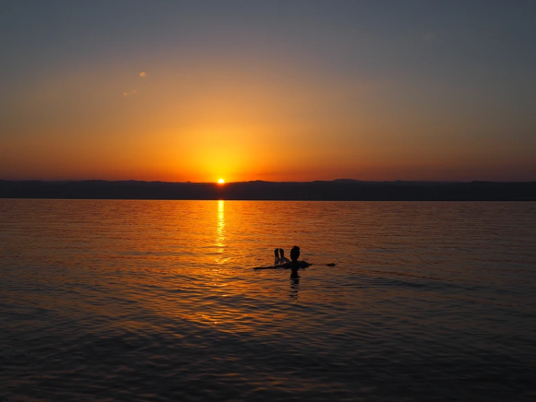 Credits_FranziskaWenger_(11)_1.png?type=w773