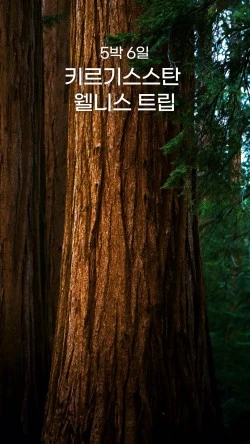 ?src=%22https%3A%2F%2Ftripsoda.s3.ap-northeast-2.amazonaws.com%2Fprod%2Fproduct%2F1739945467330-704%22&type=ff250_444