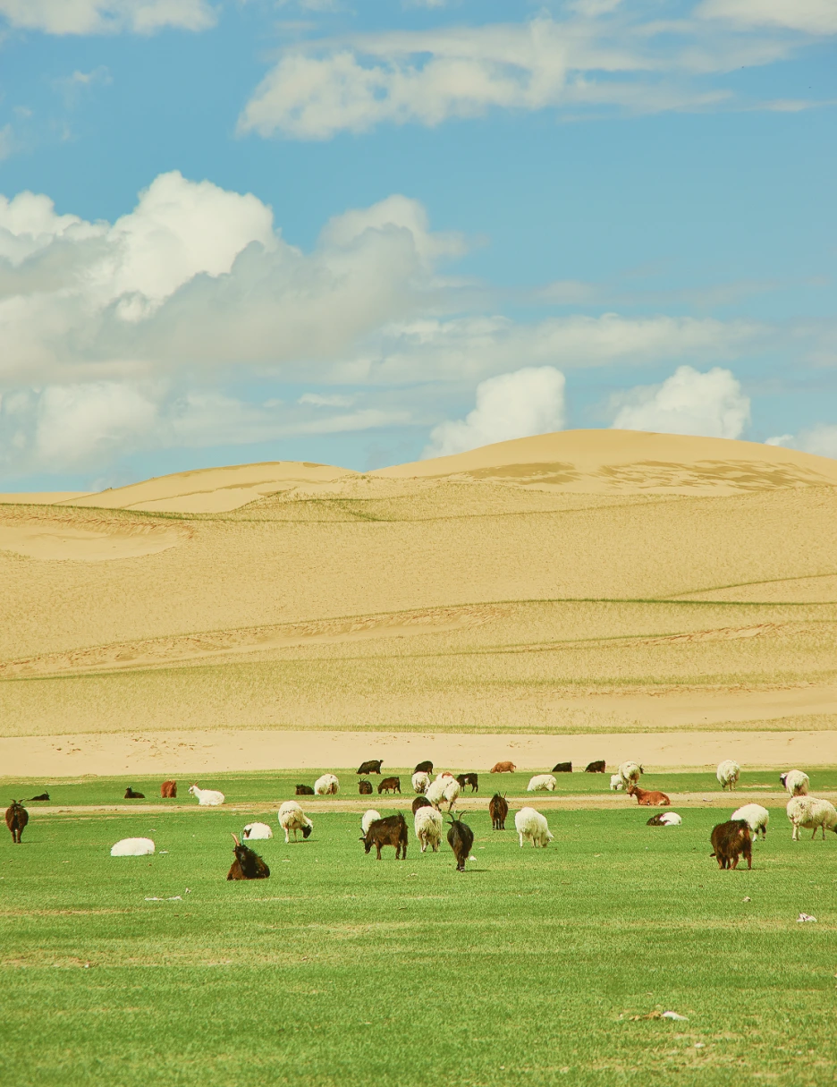 %EB%AA%BD%EA%B3%A8.png?type=w1