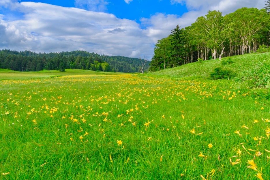 iStock-1297034286_2_1.png?type=w1