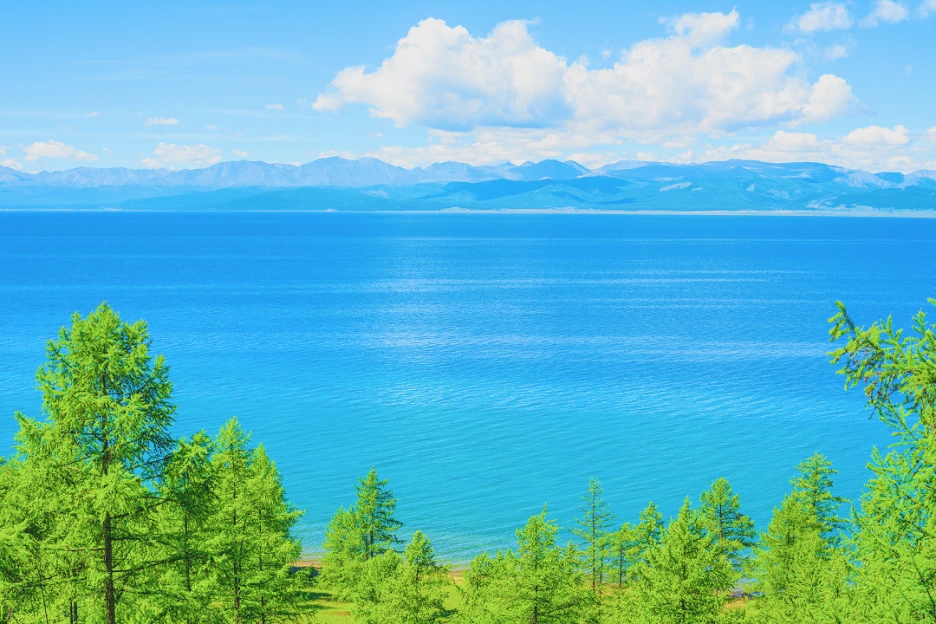 %ED%99%89%EC%8A%A4%EA%B3%A8.png?type=w1