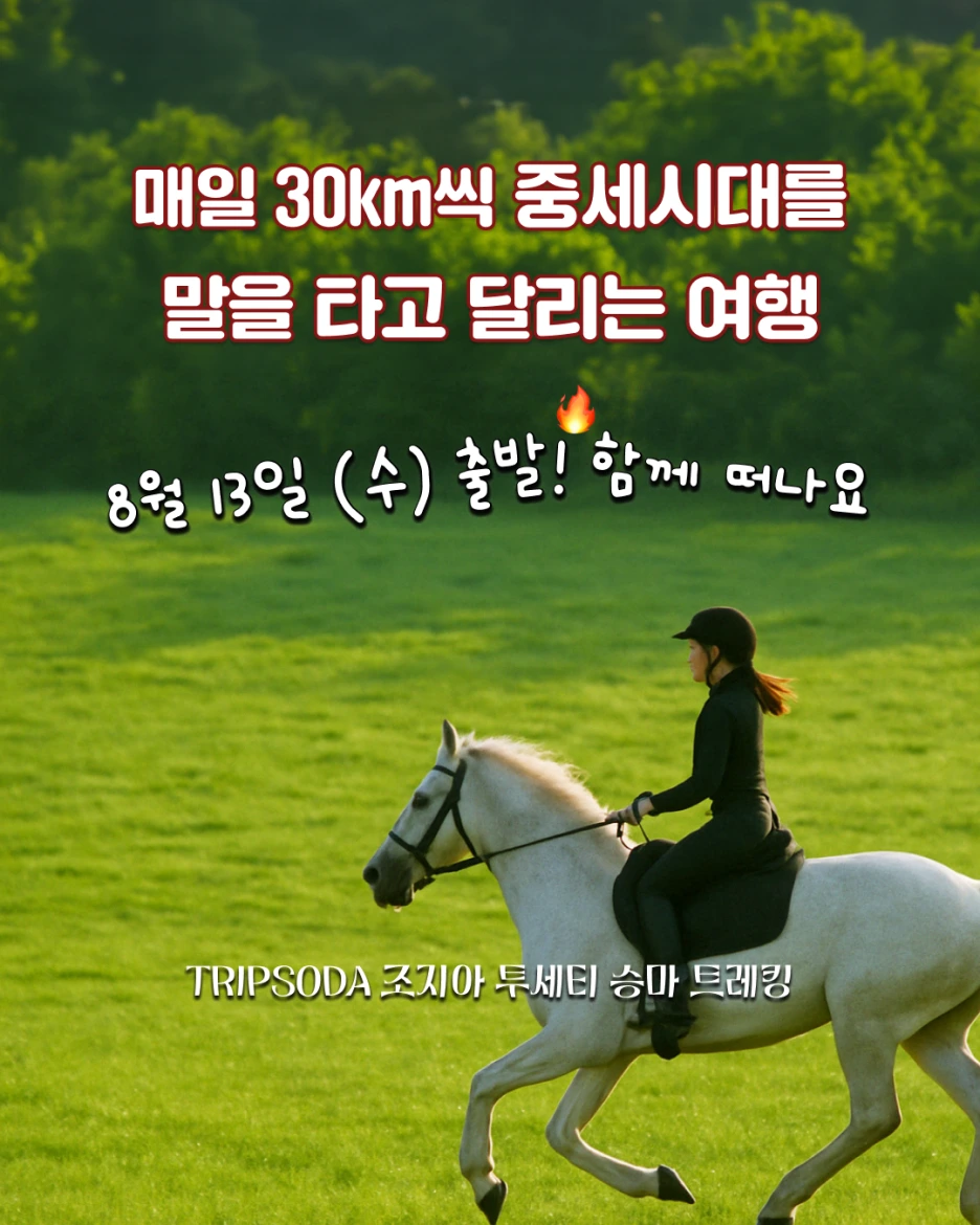 %ED%88%AC%EC%84%B8%ED%8B%B0%EC%8A%B9%EB%A7%88%EC%B6%94%EA%B0%80_%EC%A0%95%EB%B0%A9%ED%98%95.png?type=w1