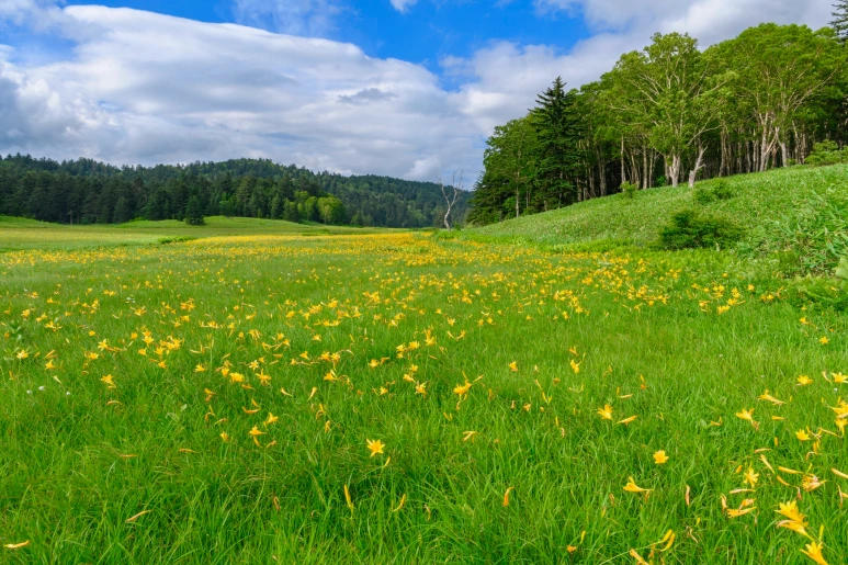 iStock-1297034286_3_1.png?type=w773