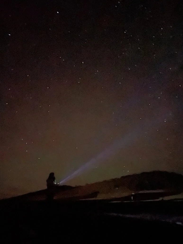 %EC%9D%BC%EB%B0%98%ED%88%AC%EC%96%B4_%EC%A4%91%EC%95%99%EB%AA%BD-1.jpg?type=w773