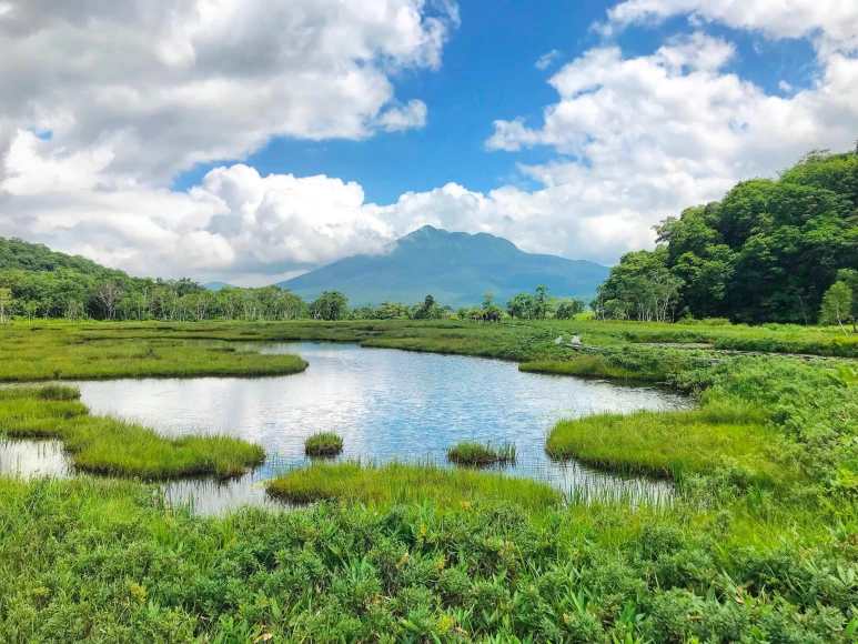 iStock-1170293451_2_2.png?type=w773