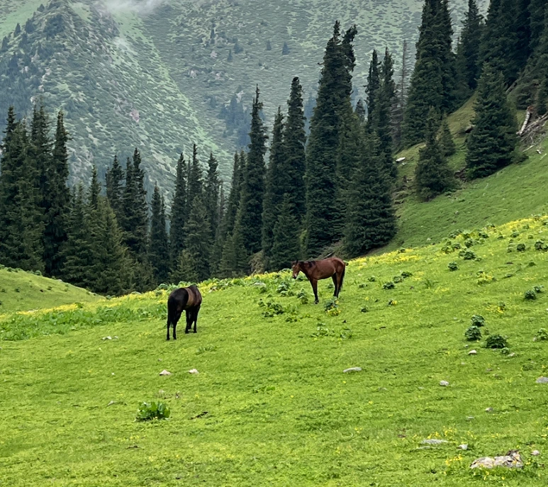 IMG_0322%EB%B3%B4%EC%A0%95_1.png?type=w773