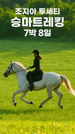 ?src=%22https%3A%2F%2Ftripsoda.s3.ap-northeast-2.amazonaws.com%2Fprod%2Fproduct-image%2F1745802536903-23%22&type=ff250_444