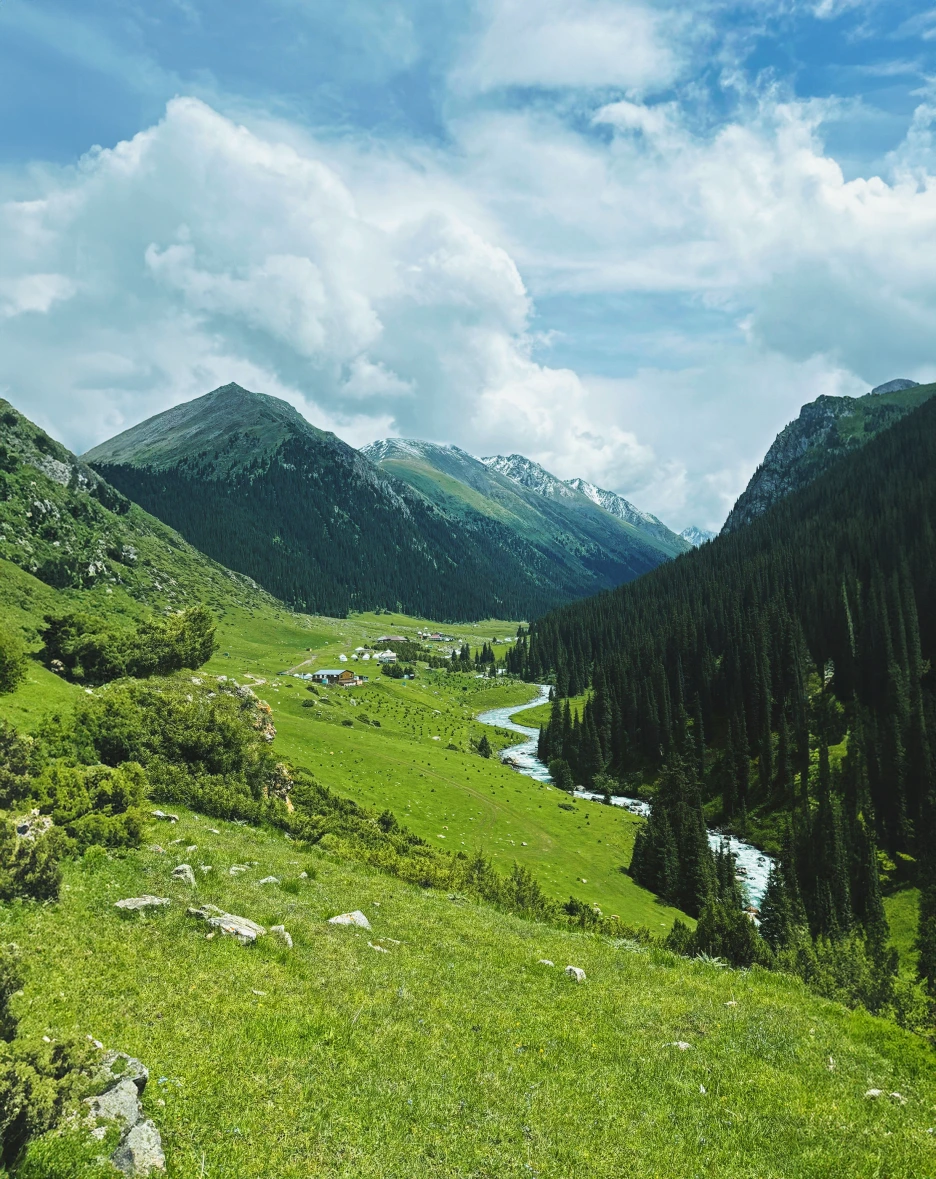 %EC%95%8C%ED%8B%B4%EC%95%84%EB%9D%BC%EC%83%A8_2.png?type=w1