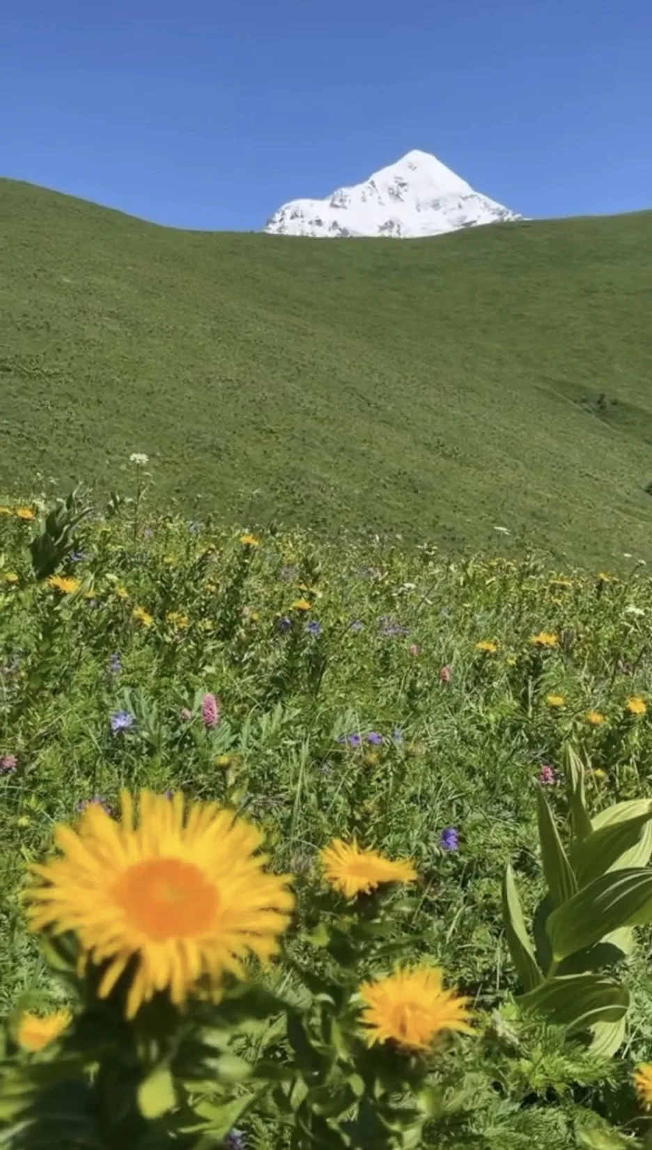 IMG_3229.jpg?type=w1