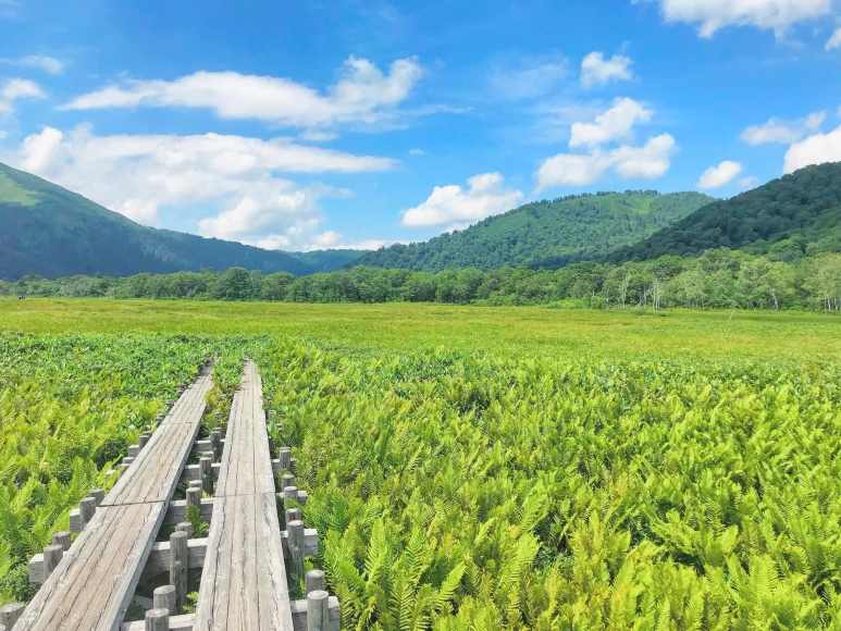 %EC%98%A4%EC%A0%9C.png?type=w773