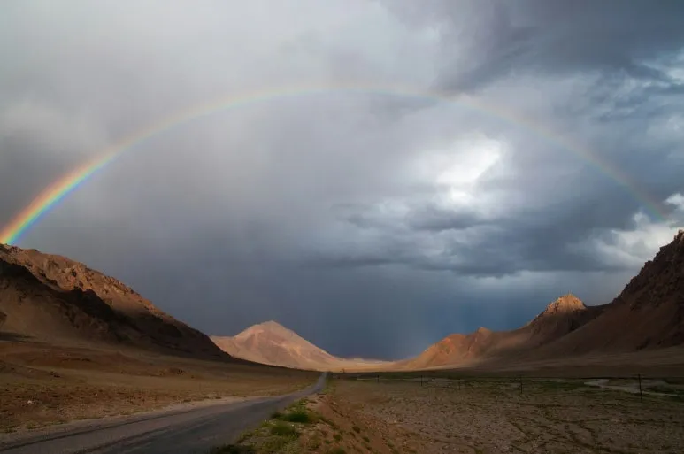 joel-heard-97YYD5FTCGI-unsplash_(1).jpg?type=w773