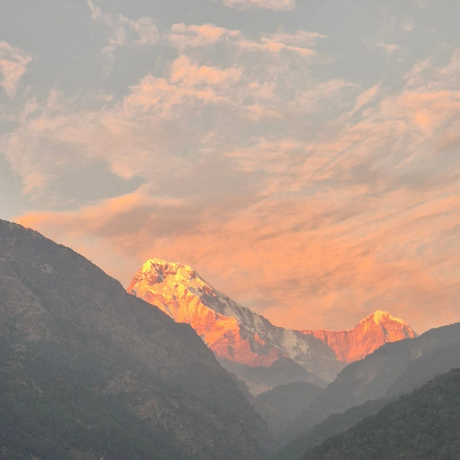 3532329029779282685_4945142455_jpg_1.png?type=w1