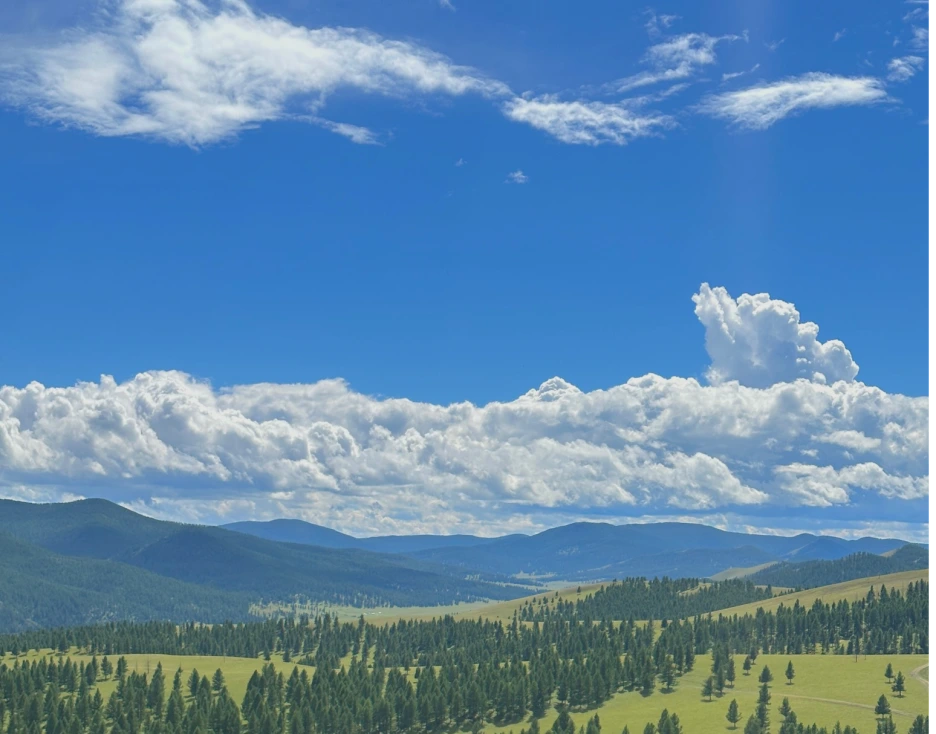 %E3%84%B1%E3%84%B1.png?type=w1