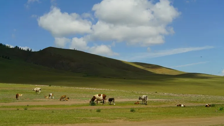 DSC01030.JPG?type=w773