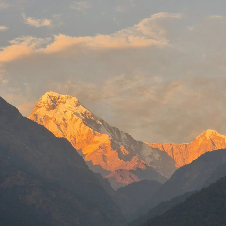 3532329029645067985_4945142455_jpg.jpg?type=w773