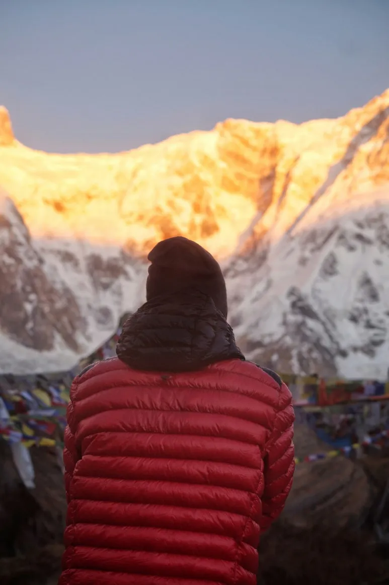 alisha-limbu-FrqWKb6v0Ho-unsplash.jpg?type=w773