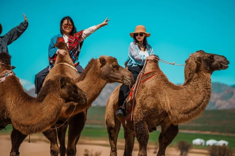 %EB%AA%BD%EA%B3%A8%EB%AA%BD%EA%B3%A8_(231_-_680).jpg?type=w773