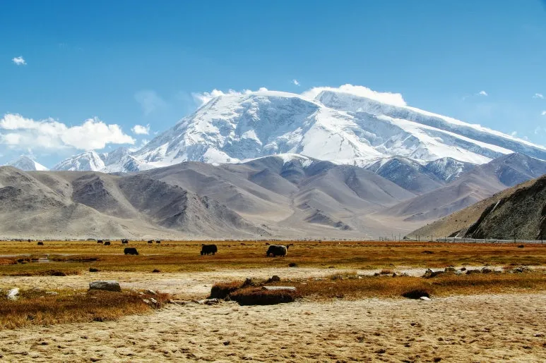 walter-frehner-RNXs1Lu5-hA-unsplash_(1).jpg?type=w773