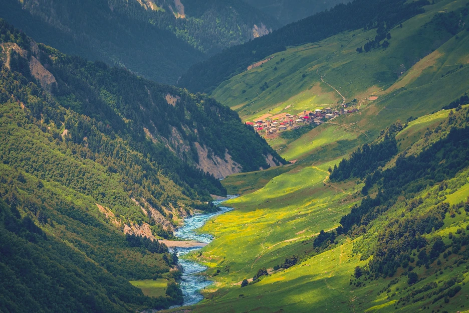 Adishi_3.png?type=w1