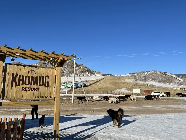 IMG_0604_2.jpg?type=w773