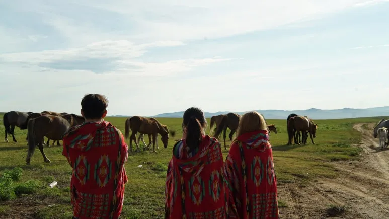 DSC00687.JPG?type=w773