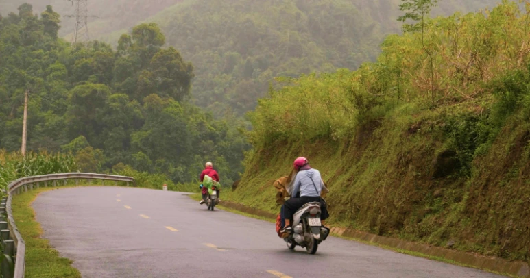 DSCF8673.png?type=w773