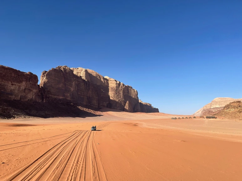 zeynep-elif-ozdemir-D5NkNdVaNUc-unsplash.png?type=w773