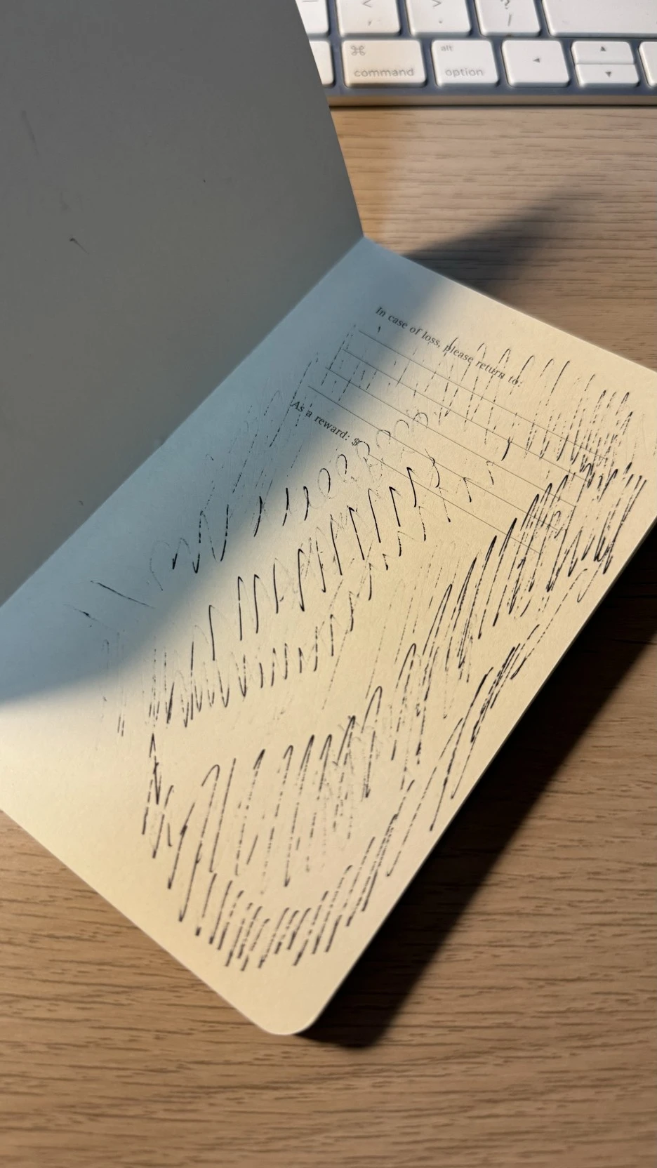 IMG_8723.jpg?type=w1