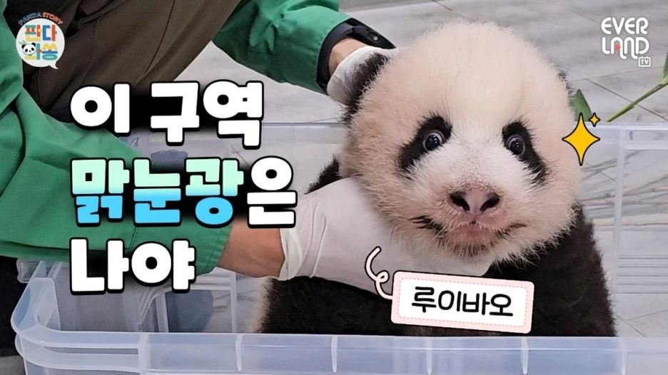 %EA%B7%B8%EB%A6%BC2.jpg?type=w1