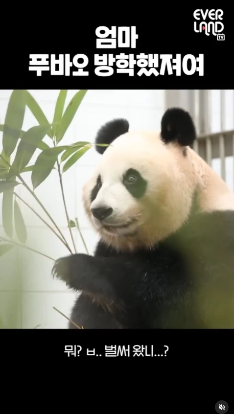 %EC%8A%A4%ED%81%AC%EB%A6%B0%EC%83%B7_2023-10-24_170202.png?type=w1