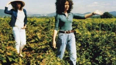 common - 2025-12-24T213547.393.jpeg