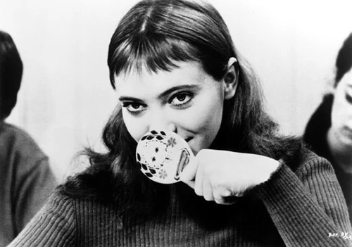 common - 2025-12-24T203936.109.jpeg