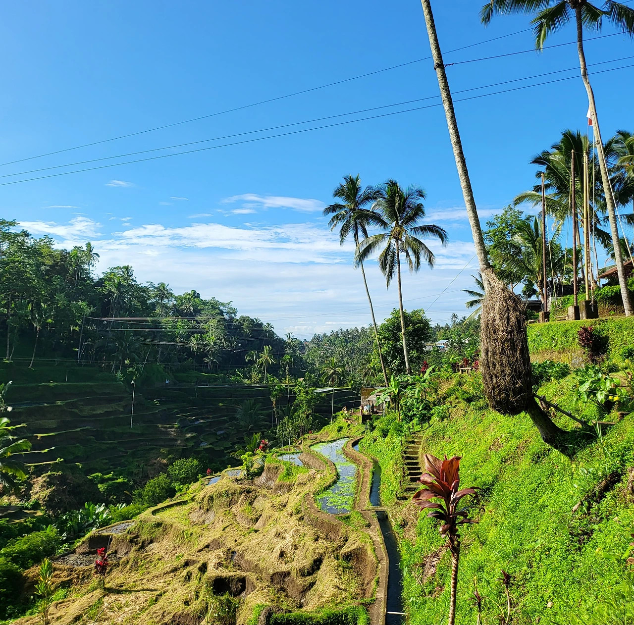 KakaoTalk_Image_2023-04-15-20-03-17 (1).jpeg