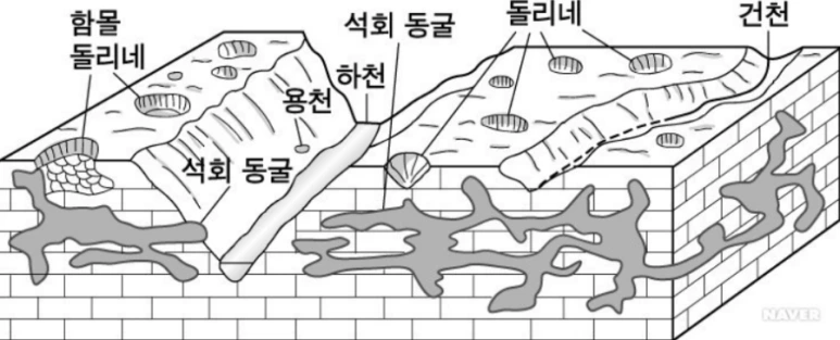 900%EF%BC%BFimg.png?type=w773