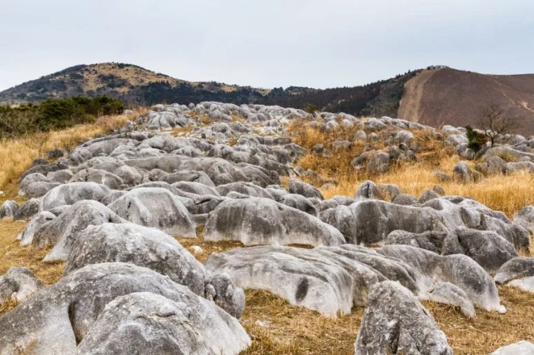 900%EF%BC%BF9b7cf438%EF%BC%8D4cf7%EF%BC%8D4d76%EF%BC%8Db7ca%EF%BC%8D50b73ee53098.jpeg?type=w773