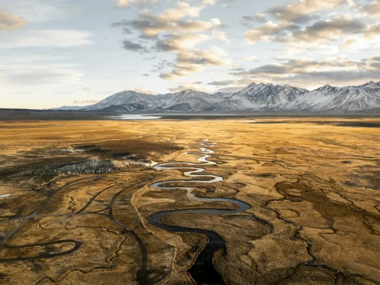 900%EF%BC%BFpremium%EF%BC%BFphoto%EF%BC%8D1736816227895%EF%BC%8De0653ceb1f0e.jpeg?type=w773