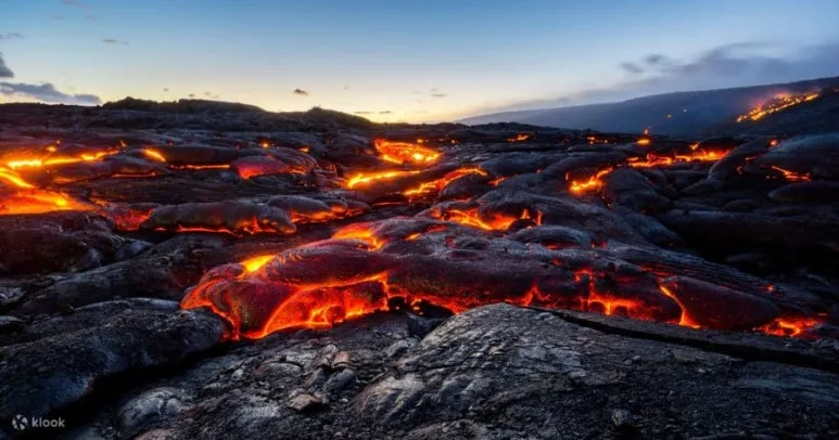 900%EF%BC%BF%ED%95%98%EC%99%80%EC%9D%B4_%ED%99%94%EC%82%B0_%EA%B5%AD%EB%A6%BD%EA%B3%B5%EC%9B%90_%EC%9E%90%EA%B0%80_%EC%9A%B4%EC%A0%84_%ED%88%AC%EC%96%B4.jpg?type=w773