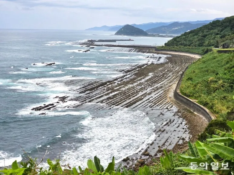 900%EF%BC%BF122020053.1.jpg?type=w773