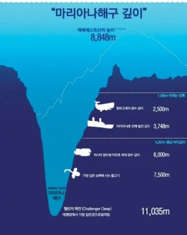 8872%EF%BC%BF8773%EF%BC%BF1541.jpg?type=w386